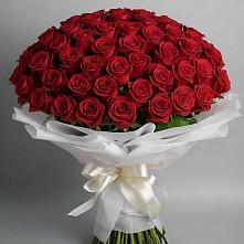 Букет 101 Красная роза Блэк Мэджик в Тургенево