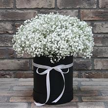 Цветочная композиция из Гипсофила в шляпной коробке в Тургенево