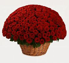 Премиум букет из: Розы #REPLACE_PRED# Тургенево